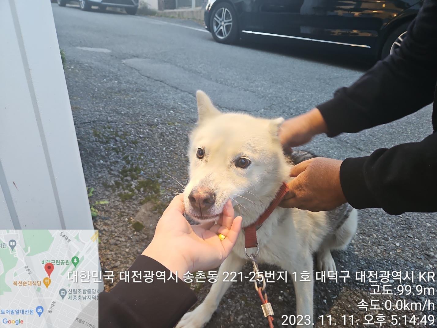 대전동물보호센터_430368202300575